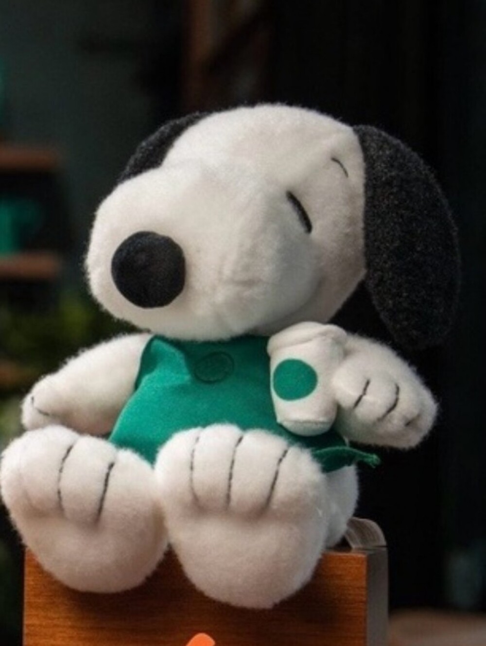 Starbucks White & Green Snoopy Plush Figurine